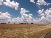 Lyndon B. Johnson National Historic Park