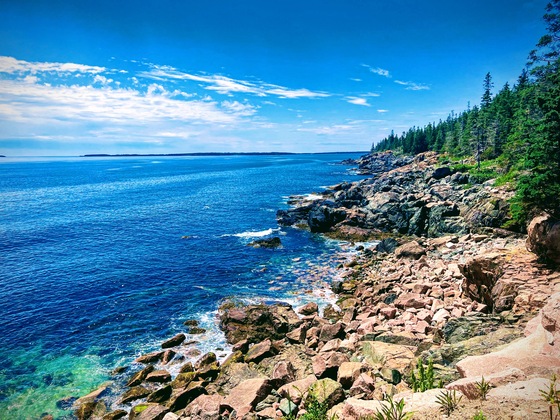 Acadia National Park 