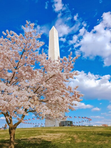 Washington Monument