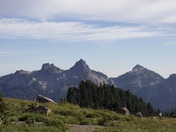 Mount Rainer