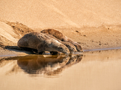 Point Reyes National Seashore