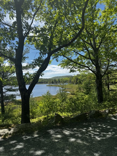 Acadia National Park 