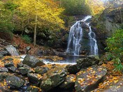 Smoky Mountains National Park