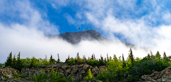 Alaska Public Lands 