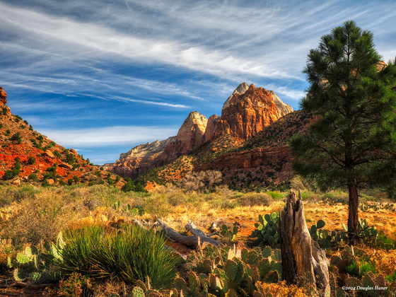 Zion National Park