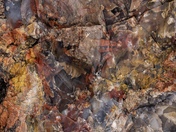 Petrified Forrest National Park