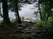 Acadia National Park