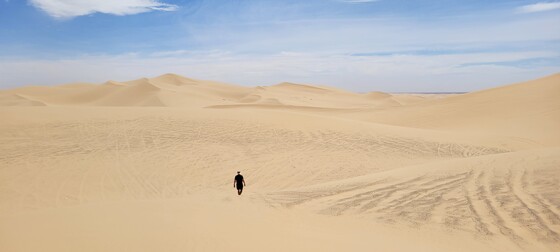 Imperial Sand Dunes Recreation Area (ISDRA)