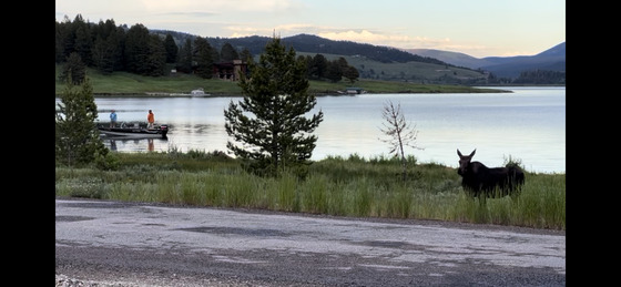 Georgetown Lake