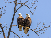 Walnut Creek Recreation Area, Keystone Lake, Oklahoma