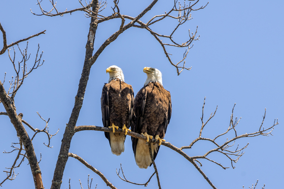 Walnut Creek Recreation Area, Keystone Lake, Oklahoma