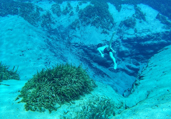 Alexander Springs