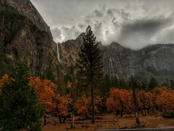 Yosemite National Park