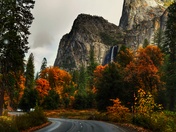 Yosemite National Park Service