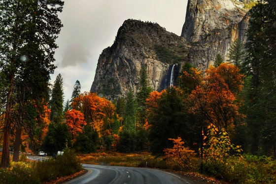 Yosemite National Park Service