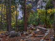 Yosemite National Park