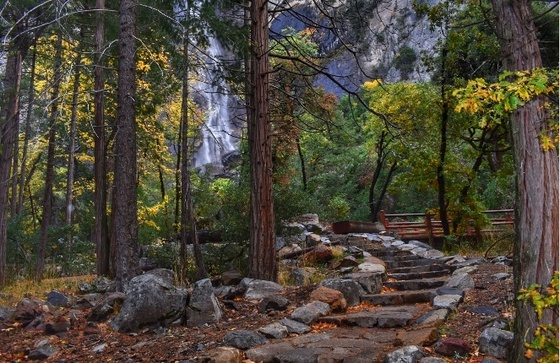 Yosemite National Park