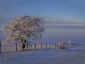 An Icing Sugar Morning