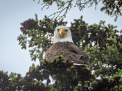 Whatcha doing down there?