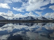 Denali National Forest