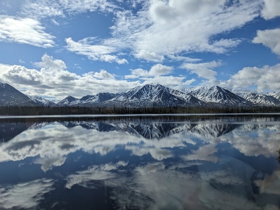 Denali National Forest