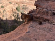 Zion National Park