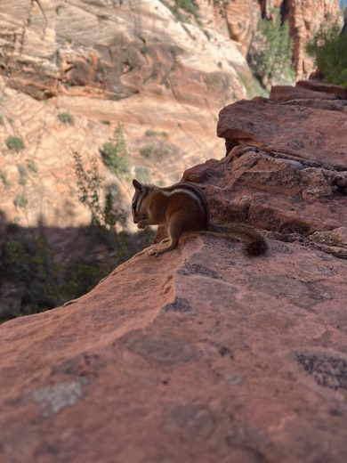 Zion National Park