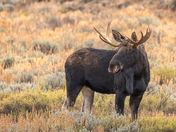Grand Teton National Park