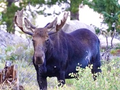 Arapaho National Recreation Area