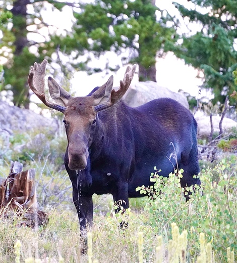 Arapaho National Recreation Area