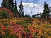 Mount Rainier National Park