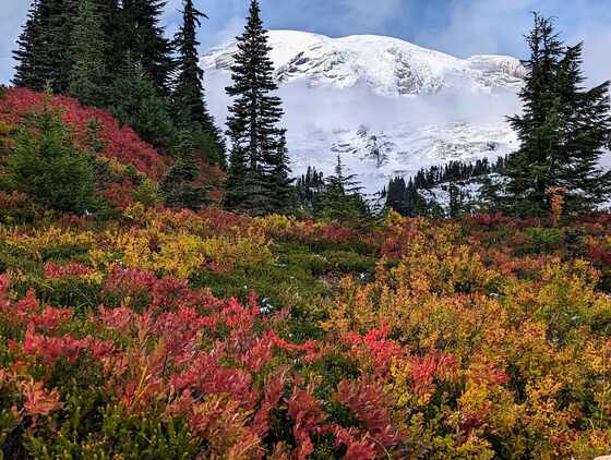 Mount Rainier National Park
