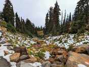 Mount Rainier National Park