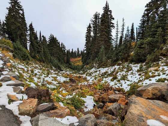 Mount Rainier National Park
