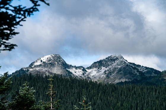 Mount Rainier National Park