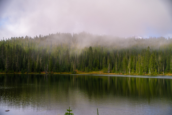 Mount Rainier National Park