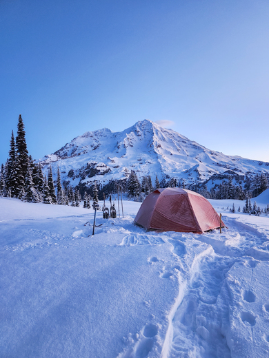 Mt Rainier National Park