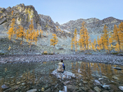 Okanogan–Wenatchee National Forest