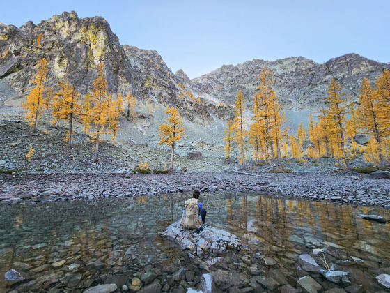 Okanogan–Wenatchee National Forest