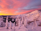 Mt Baker-Snoqualmie National Forest