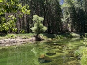 Yosemite National Park 