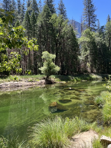 Yosemite National Park 