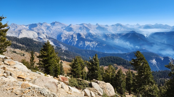 Sequoia National Park
