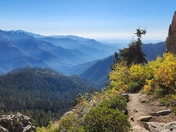 Sequoia National Park