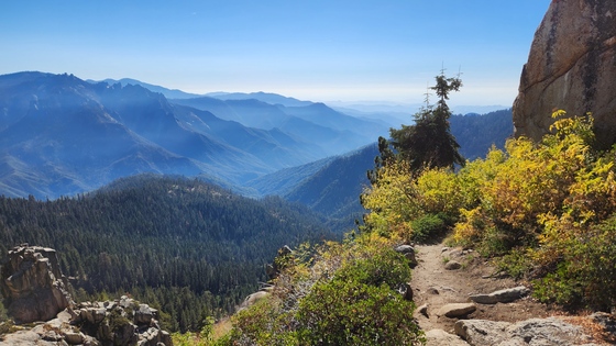 Sequoia National Park