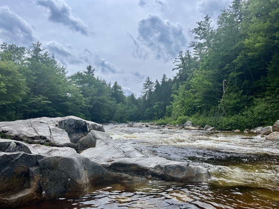 White Mountains National Forest