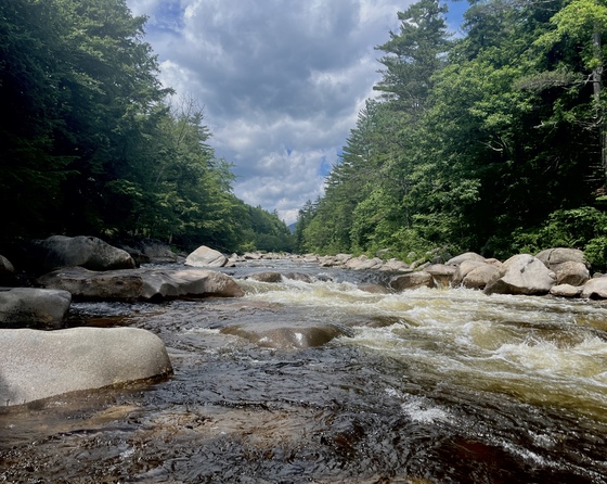 White Mountains National Forest
