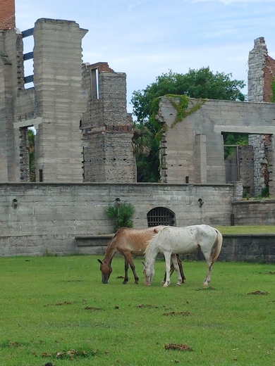 Cumberland Island