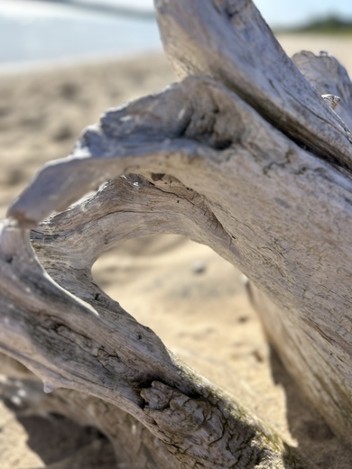 Sleeping Bear Dunes National Lakeshore 