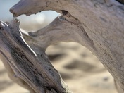 Sleeping Bear Dunes National Lakeshore 